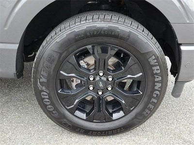 2023 Ford F-150 Platinum 4WD SuperCrew 5.5' Box